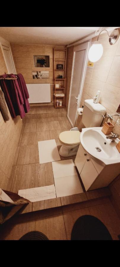 Roca House Villa Brasov Bagian luar foto