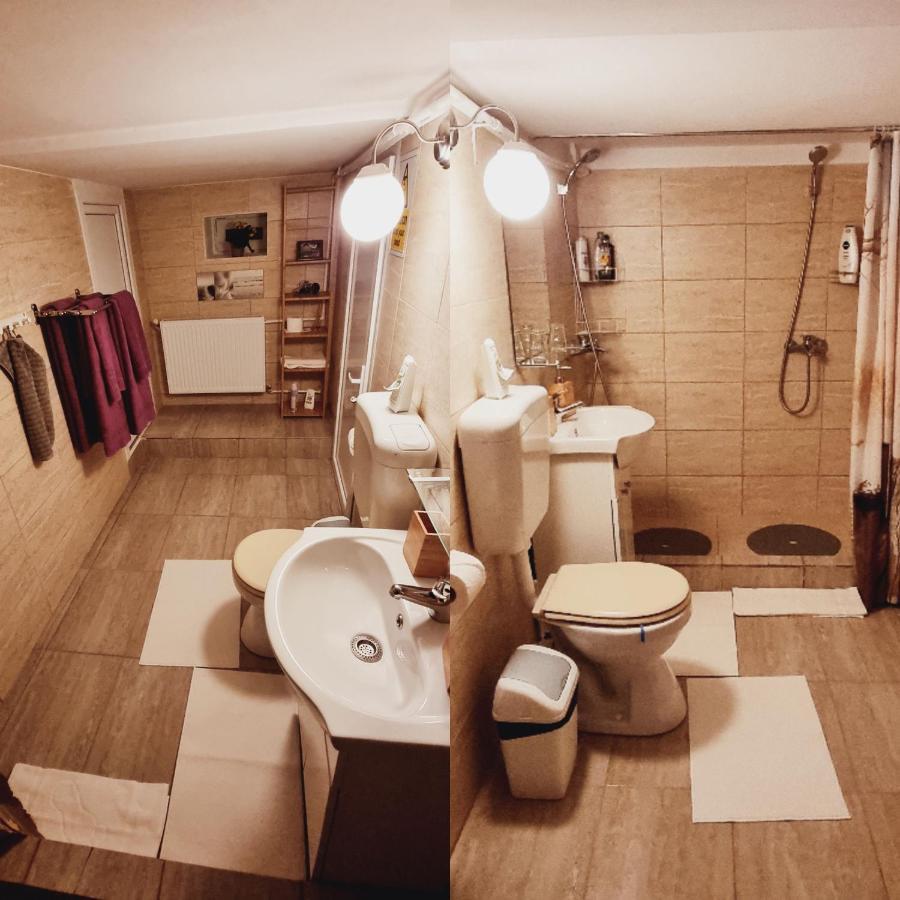 Roca House Villa Brasov Bagian luar foto