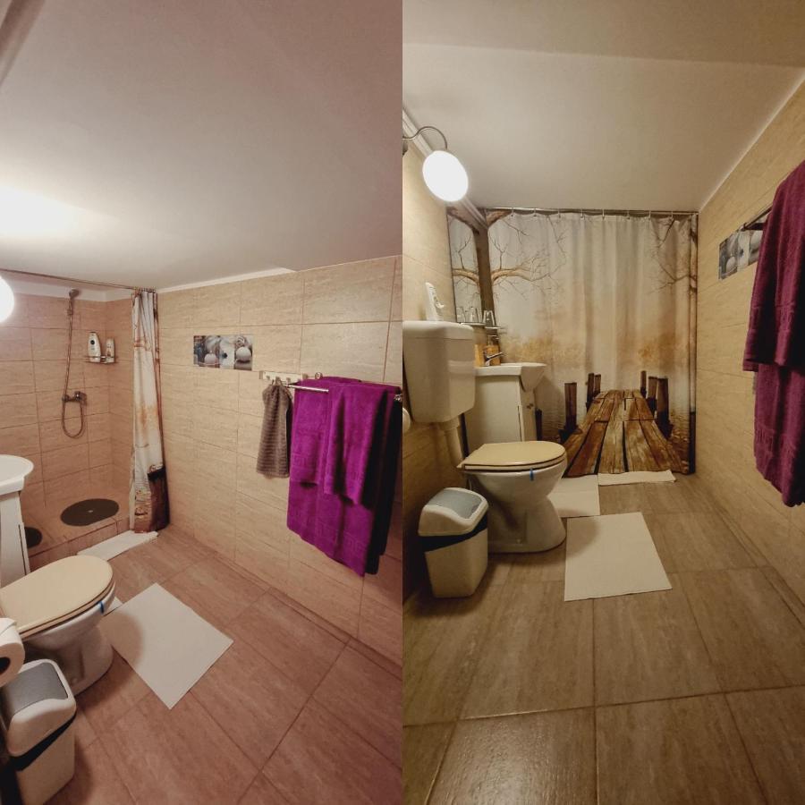 Roca House Villa Brasov Bagian luar foto