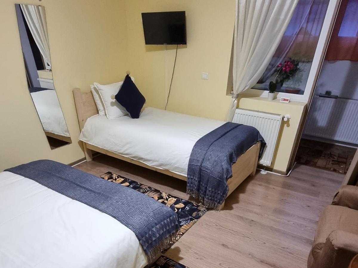 Roca House Villa Brasov Bagian luar foto
