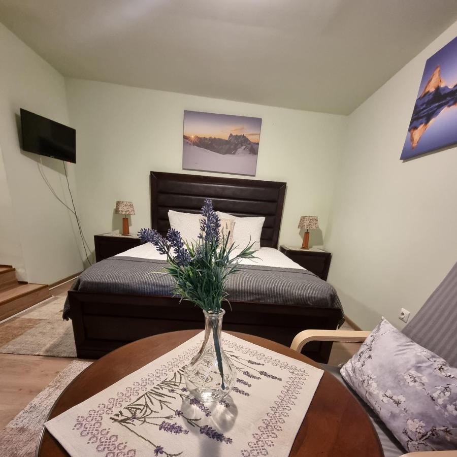 Roca House Villa Brasov Bagian luar foto